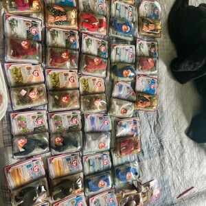 Beanie babies Ty all collection multiple duplicates